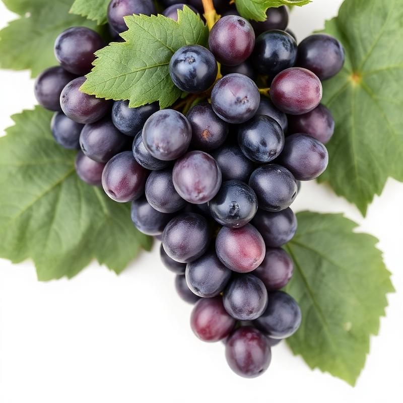 grape